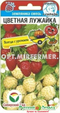 Земляника Цветная лужайка 10шт Ранн (Сиб сад)