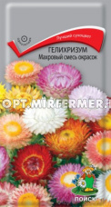 Гелихризум Махровый смесь окрасок 0,25г Сухоцвет Одн 100см (Поиск)