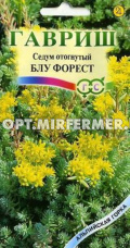Седум Блу Форрест отогнутый 0,01г Мн 15см (Гавриш) Альпийская горка