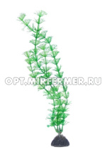 Растение пластик 31см Амбулия зеленый 1/1