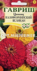 Цинния Калифорнийский великан 0,3г Одн смесь 70см (Гавриш)