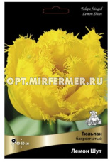 Тюльпан Бахромчатый Лемон шут 5шт (сливочно-желтый, 11/12, h40-50см)