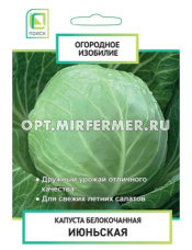 Капуста б/к Июньская 0,5г Ранн (Поиск) Огородное изобилие Капуста б/к Июньская 0,5г Ранн (Поиск) Огородное изобилие