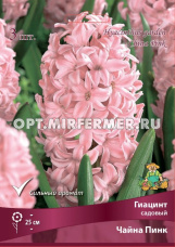 Гиацинт Чайна Пинк садовый 3шт (нежно-розовый, 14/15, h25см)
