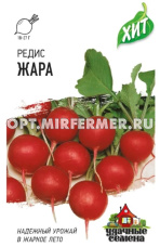 Редис Жара 2г Ранн (Гавриш) ХИТ х3