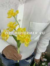 Искусственные цветы Нарцисс из силикона  h 37см
