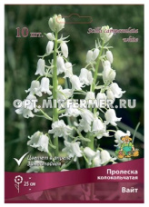 Пролеска (Сцилла) колокольчатая Вайт (10шт, белая, 7/8, h25см)