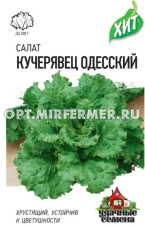 Салат Кучерявец Одесский полукочанный 0,5г Ср (Гавриш) ХИТ х3