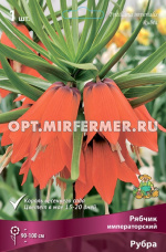 Рябчик (Фритиллярия) Императорский Рубра 1шт ( красный, 20/24, h100см)