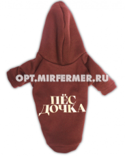 Толстовка р-р XL спинка 34см LPK-0438/Lion