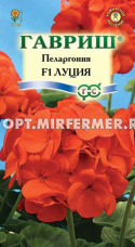 Пеларгония Луция F1 4шт Мн 35см (Гавриш)