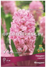 Гиацинт Фондант садовый 3шт (розово-перламутровое крупное соцветие, 15/16, h25см)