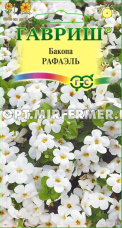 Бакопа Рафаэль ампельная 3шт Одн 60см (Гавриш)