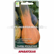 Тыква Арабатская мускатная 10шт гитаровидная Ср (Поиск)