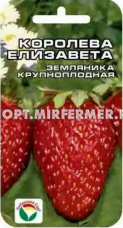 Земляника (клубника) Королева Елизавета крупноплодная 10шт (Сиб сад)
