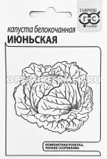 Капуста б/к Июньская 0,5г Ранн (Гавриш) б/п 20/800