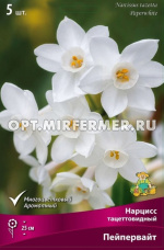 Нарцисс Тацеттовидный Пейпервайт 5шт (белый, 13/15, h25см)