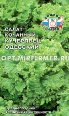 Салат Кучерявец одесский полукочанный 0,5г Позд (Седек)