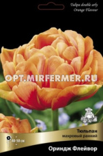 Тюльпан Махровый ранний Ориндж Флейвор 5шт (оранжевый,11/12, h35см) 