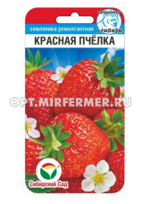 Земляника (клубника) Красная пчелка крупноплодная 10шт (Сиб сад)