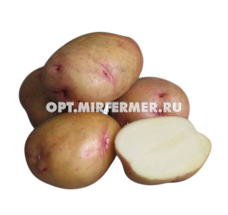 Картофель Жуковский ранний Элита Ранн 3кг 3/30