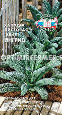 Капуста листовая Ингрид F1 (Кейл) 0.3г Ср (Седек)