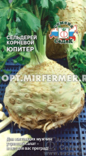 Сельдерей корневой Юпитер 0,5 г (Седек)