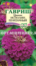 Цинния Исполин Пурпурный 0,3г Одн 90см (Гавриш)
