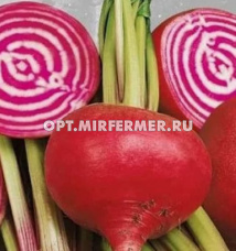 Свекла Кубанская Борщевая столовая 1кг (Поиск)