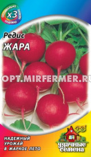 Редис Жара 2г Ранн (Гавриш) ХИТ х3