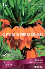 Рябчик (Фритиллярия) Императорский Аврора 1шт (оранжевый, 20/24, h100см)